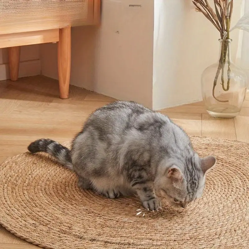 BowLift | PurrPad Paw-Friendly Pad