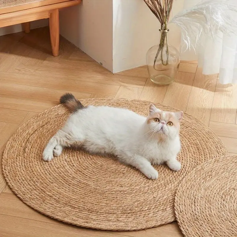 BowLift | PurrPad Paw-Friendly Pad