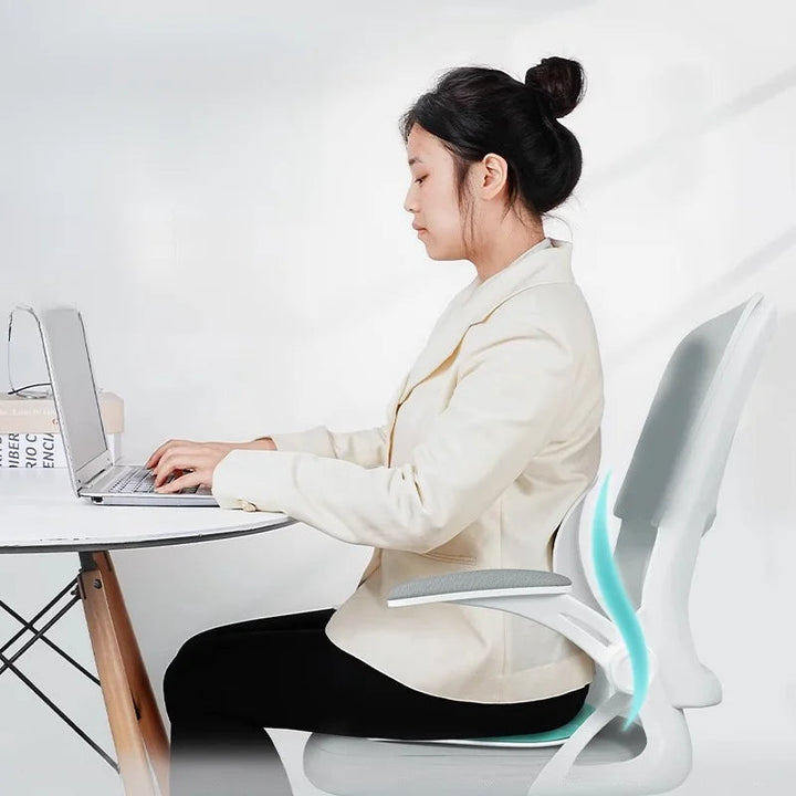 BowLift | Back Support Cushion for Office Desk Chair