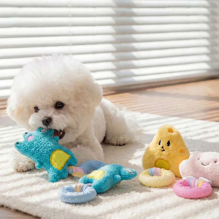 Dog toy with squeaker and dental care