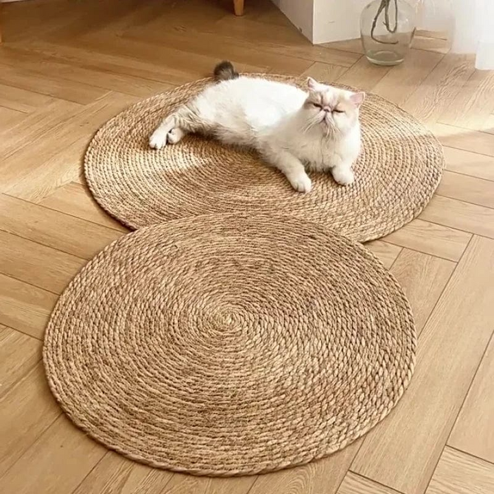 BowLift | PurrPad Paw-Friendly Pad