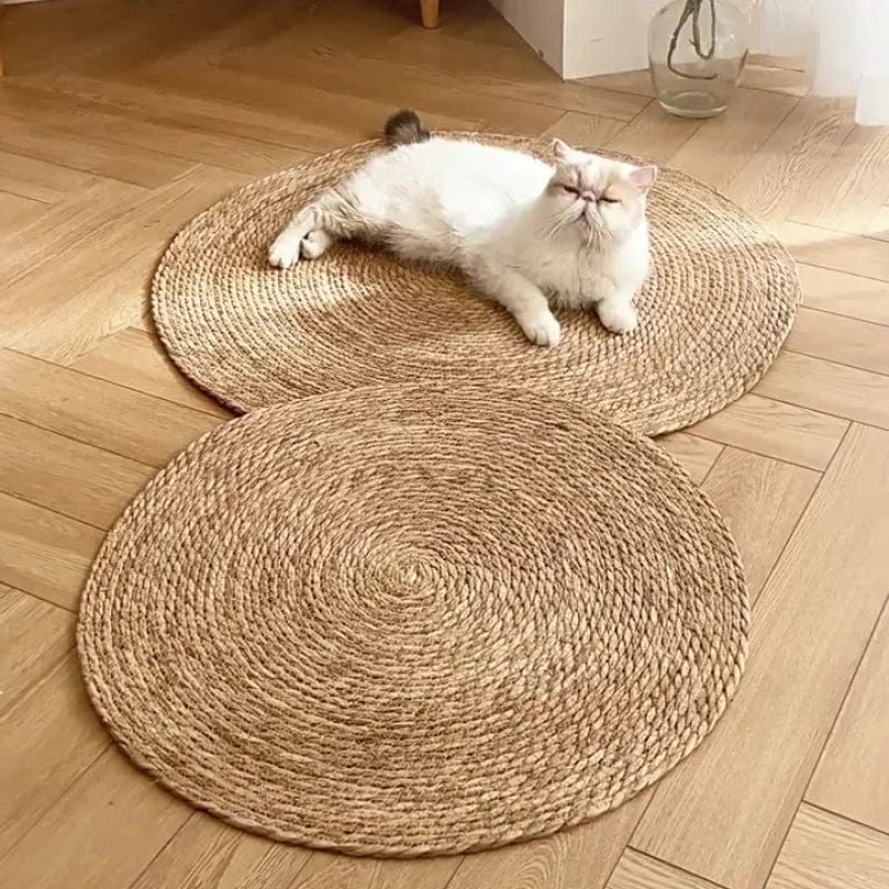 Scratching mat for cats | Bowlift