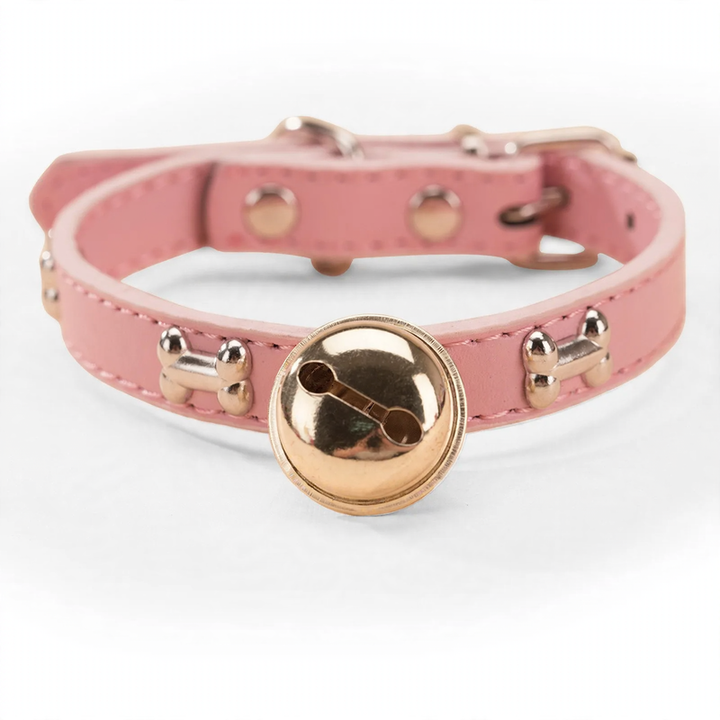 Reinforced collar with neck protection for large dogs