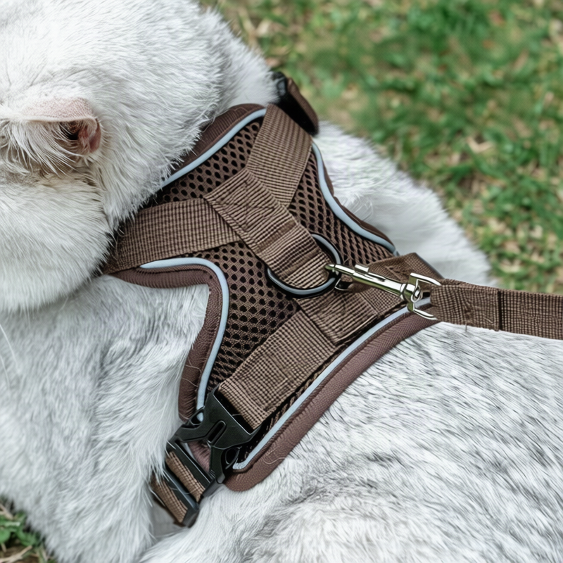 Padded dog harness with leash