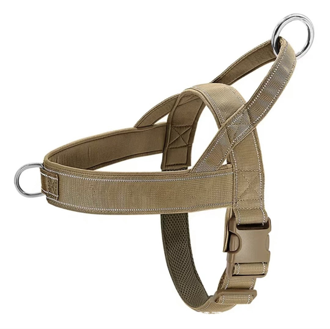 Cat harness padded, adjustable