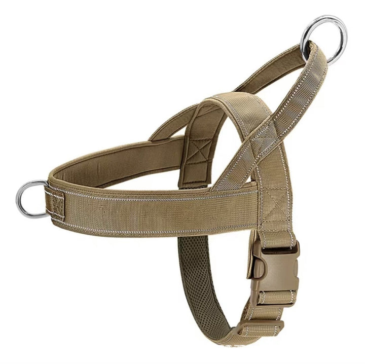 Cat harness padded, adjustable
