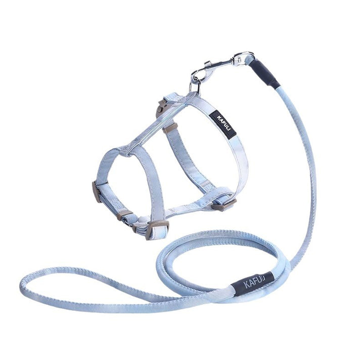 Cat harness padded, adjustable