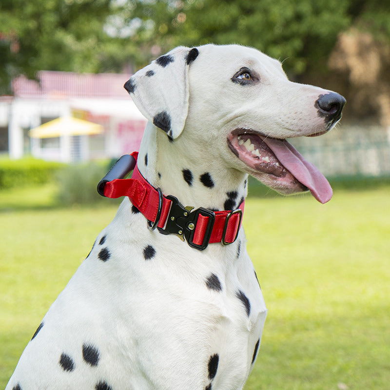 Tactical dog collar with handle