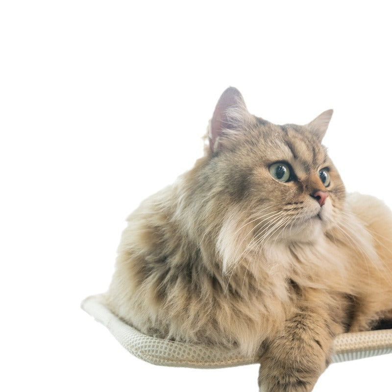 Fluffy cat bed, round, warming