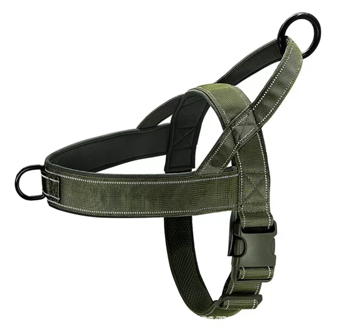 Cat harness padded, adjustable