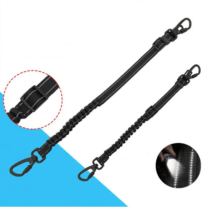 Dog seat belt for car