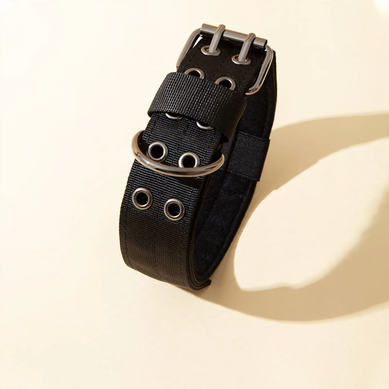 Collar for medium and large dogs with leash attachment