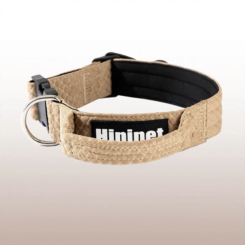 Collar for medium and large dogs with leash attachment