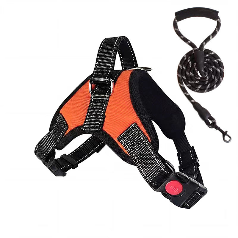 Padded dog harness with leash