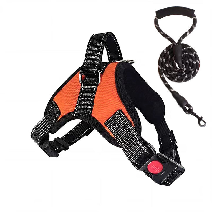 Padded dog harness with leash