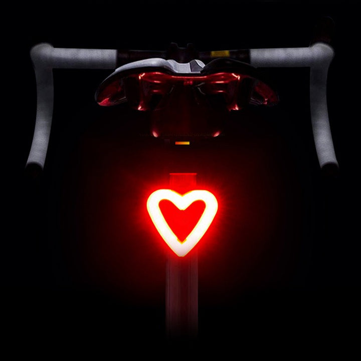 LED bicycle light with USB charging