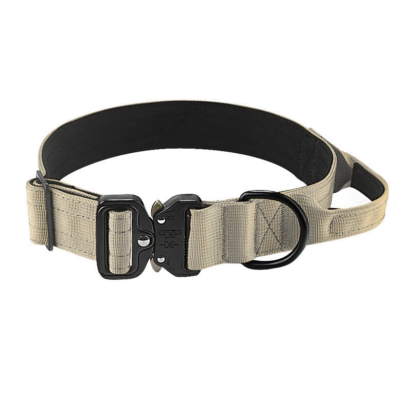 Nylon dog collar with handle