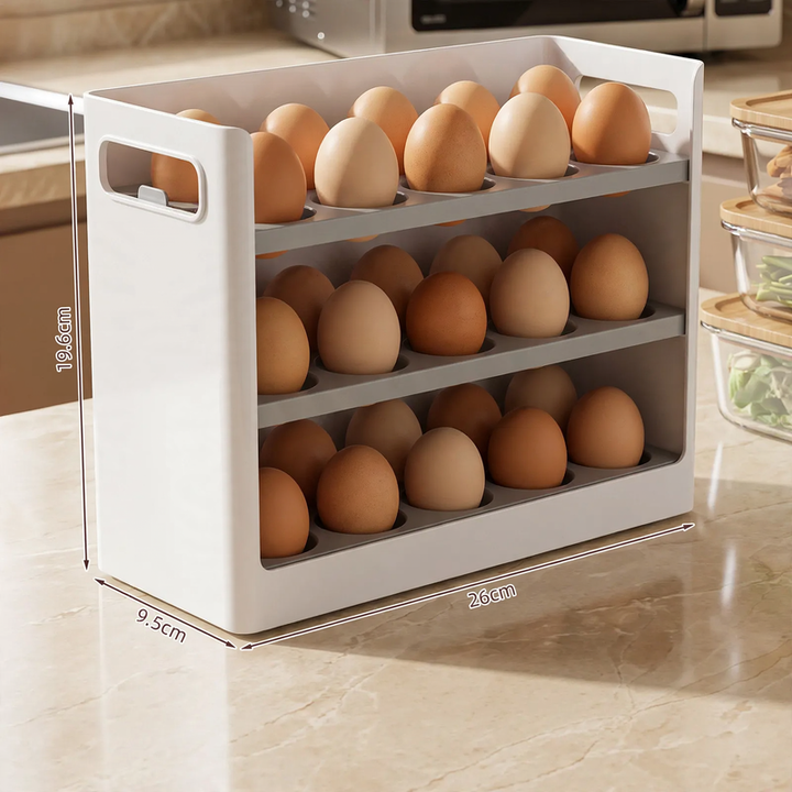 Egg storage box for the refrigerator
