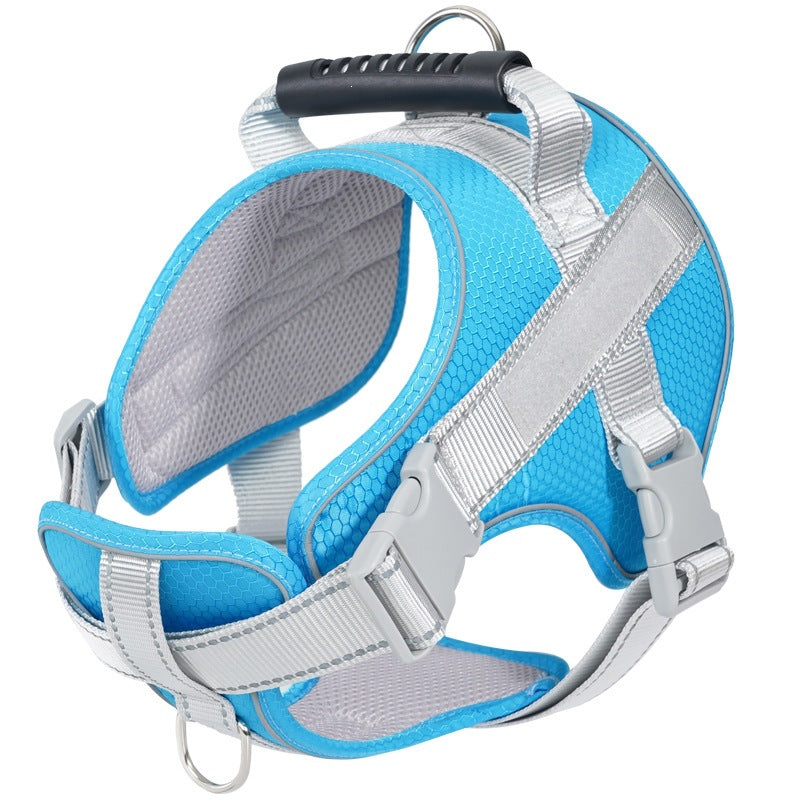 Dog harness made of polyester with leash, multiple sizes