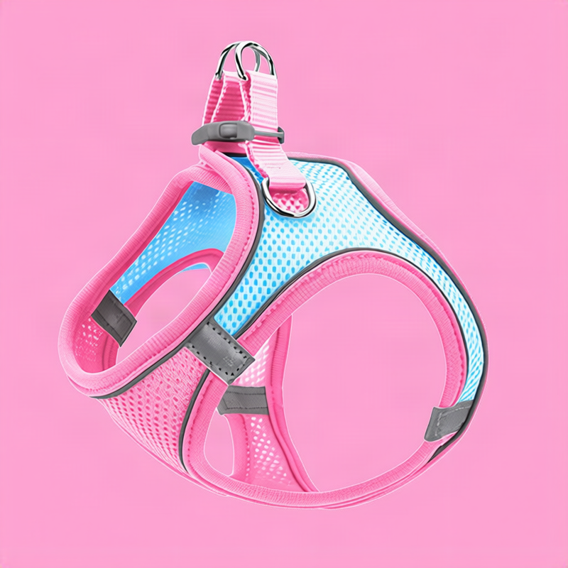 Dog harness made of fabric with leash, XS to XL