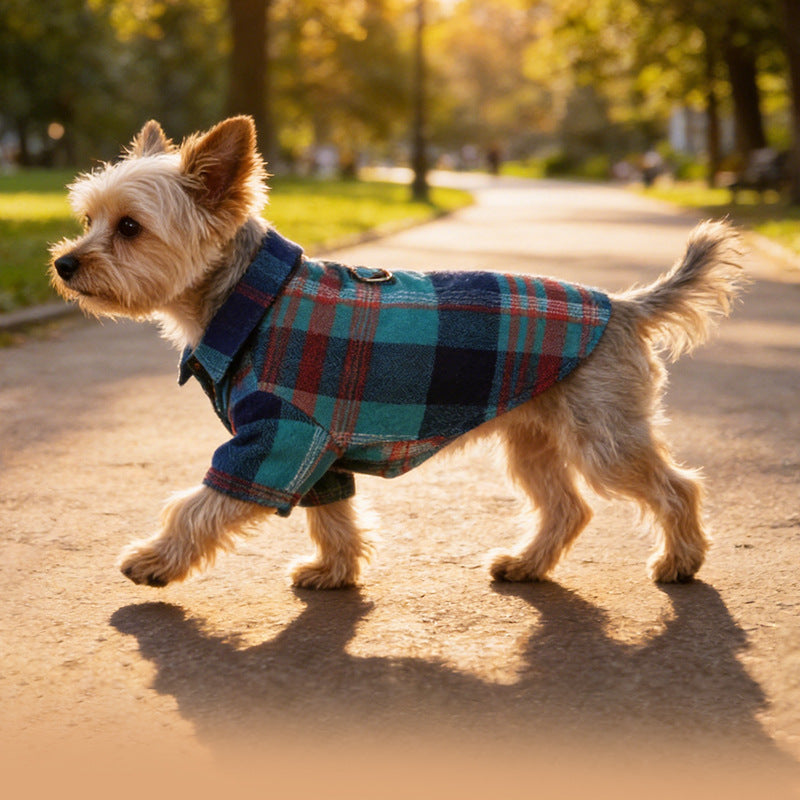 Dog coat Dachshund Brooklyn Waxed Tartan