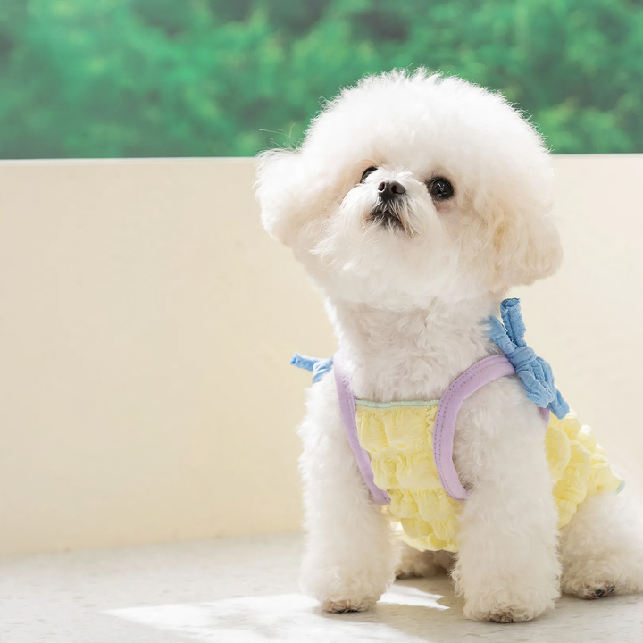Strap top for dogs and cats, spring/summer