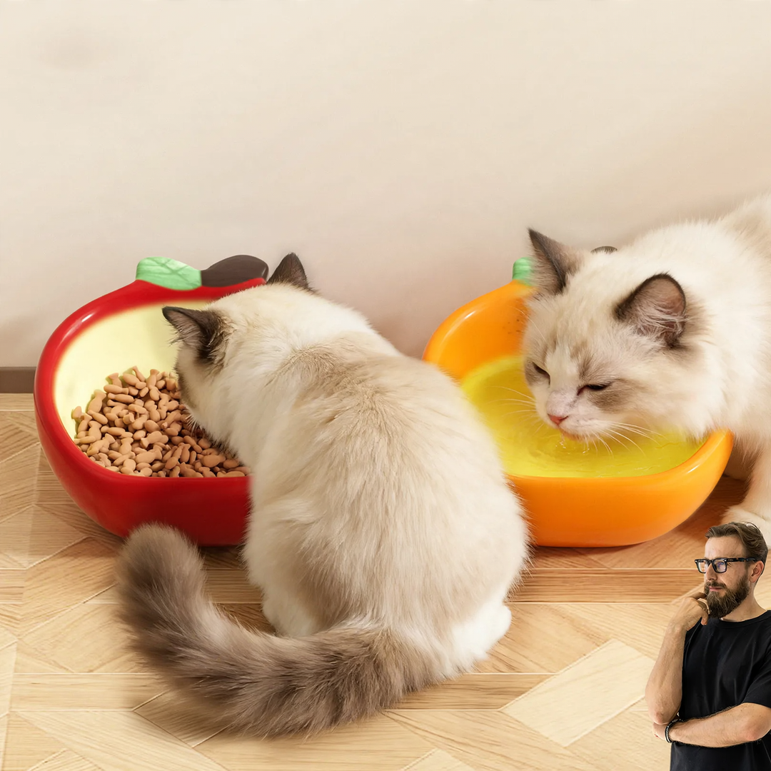 Ceramic bowl with fruit design for pets