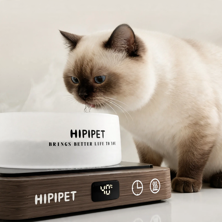 Heated drinking bowl with glass bowl and wooden base