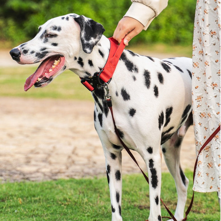 Nylon dog collar with handle