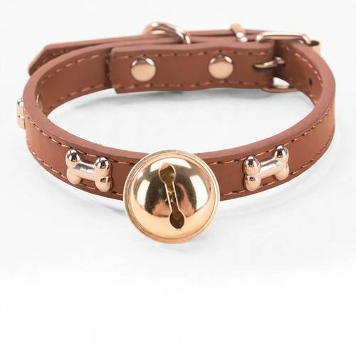 Reinforced collar with neck protection for large dogs