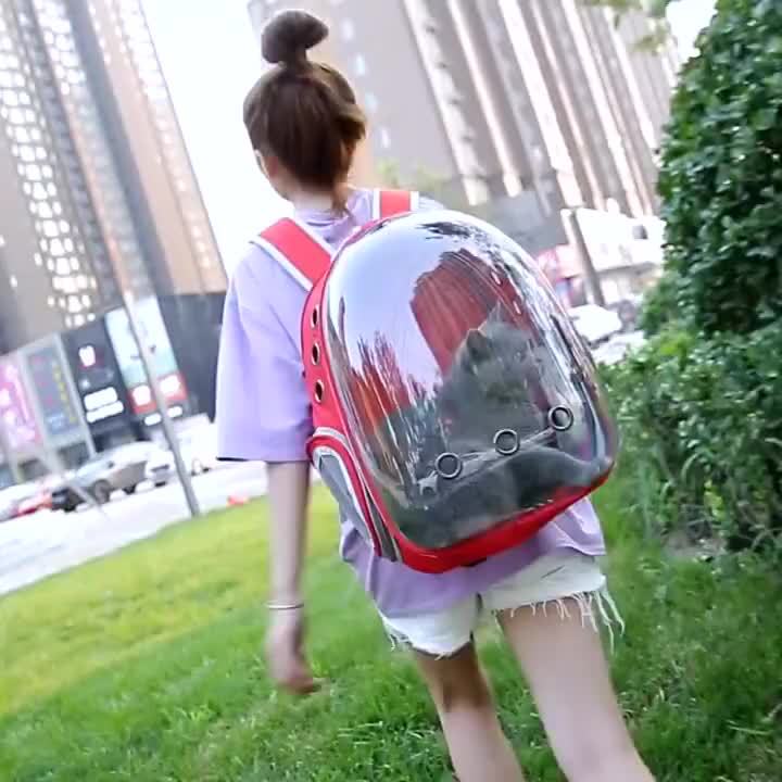 Transport backpack for dogs and cats, canvas
