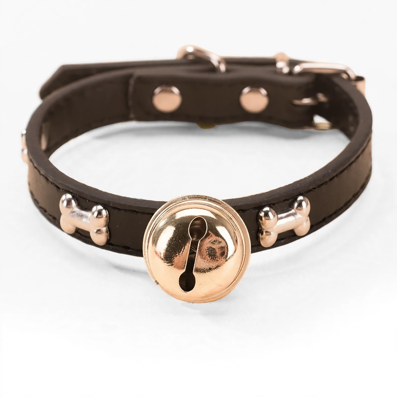 Reinforced collar with neck protection for large dogs
