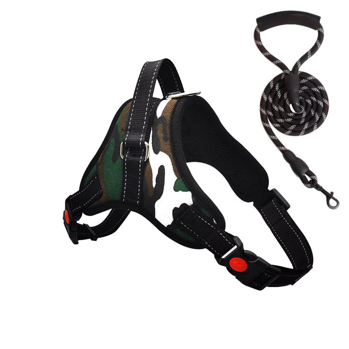Padded dog harness with leash