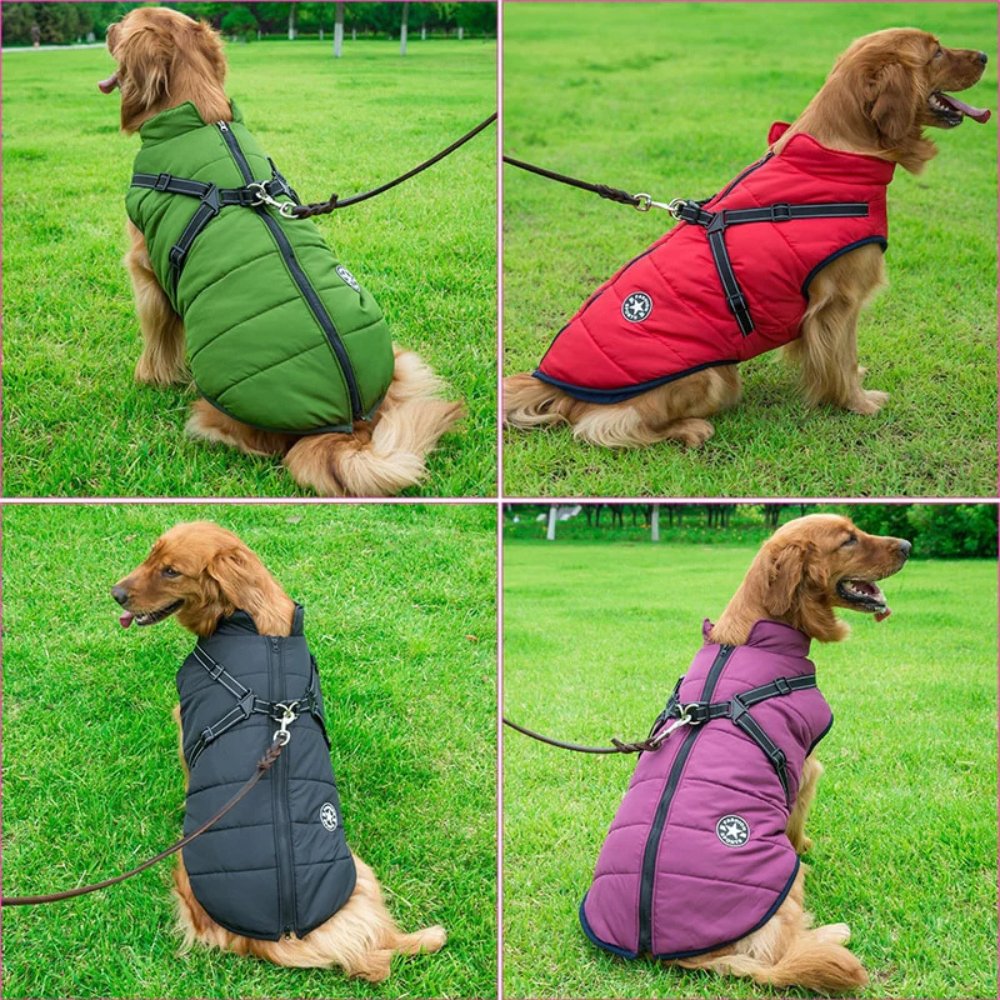 DryPaw • Waterproof Dog Coat - Waterproof Dog Coat - BowLift