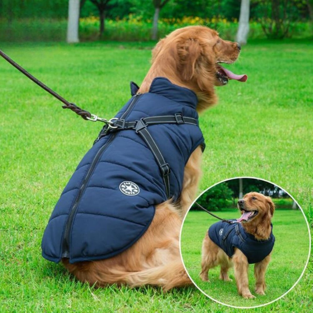 DryPaw • Waterproof Dog Coat - Waterproof Dog Coat - BowLift