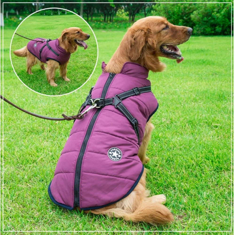 DryPaw • Waterproof Dog Coat - Waterproof Dog Coat - BowLift