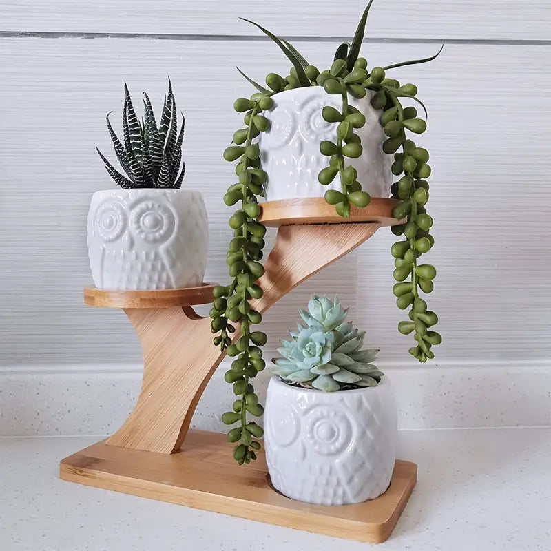 BowLift | Decorative plant stand made of wood – plant pots in owl design for succulents and indoor plants