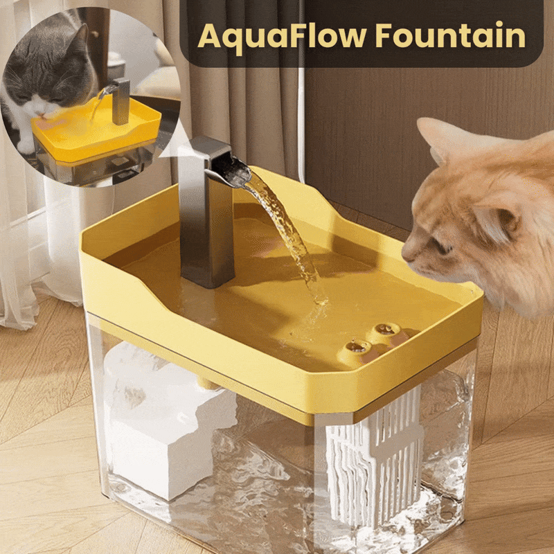 Cat Drinking Fountain 360° Sensor 1.5 L Quiet | Bowlift