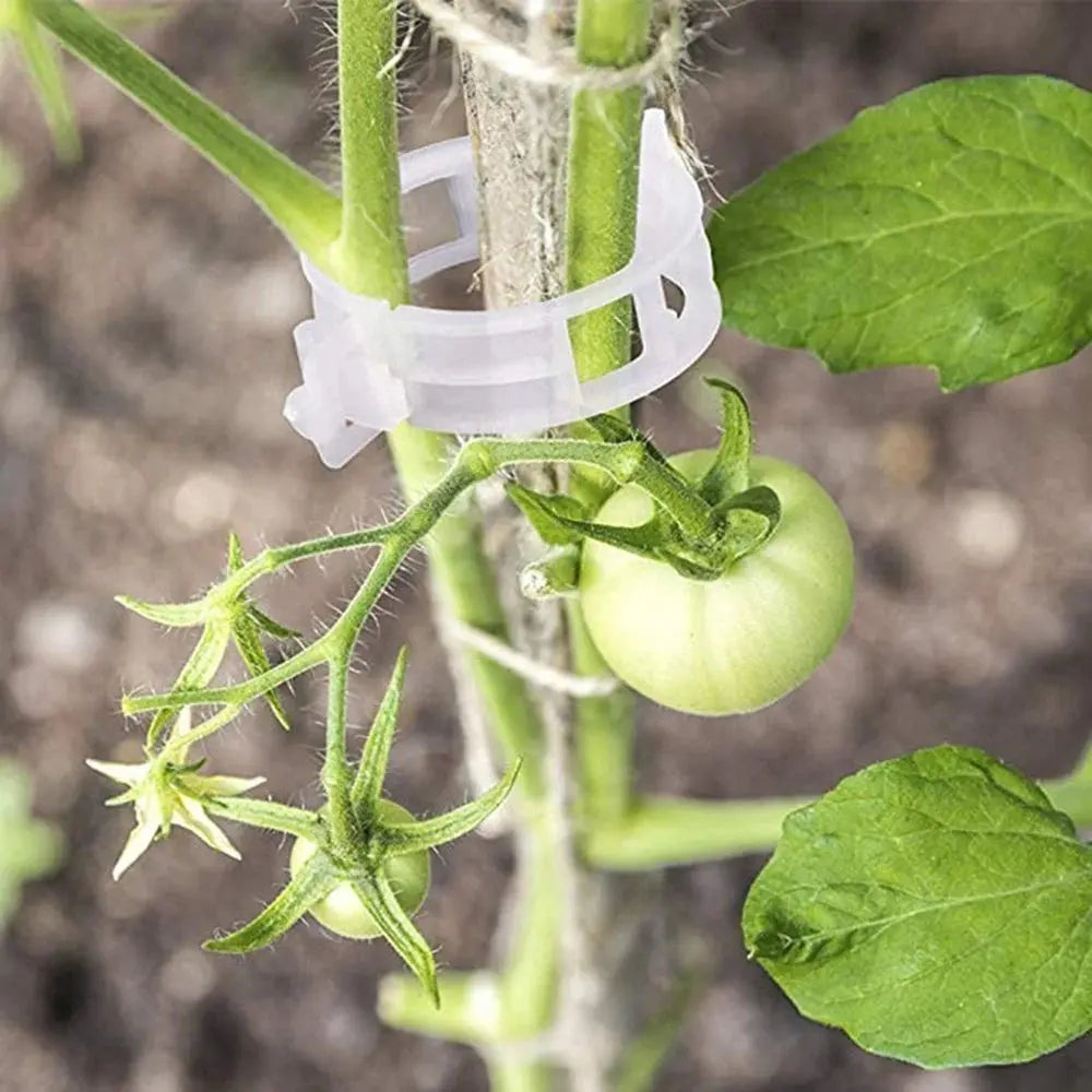VitaGrip Clips — Strong hold for majestic plants that grow and thrive proudly | Bowlift