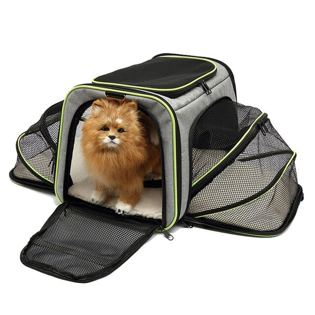 Bowlift Travel Bag