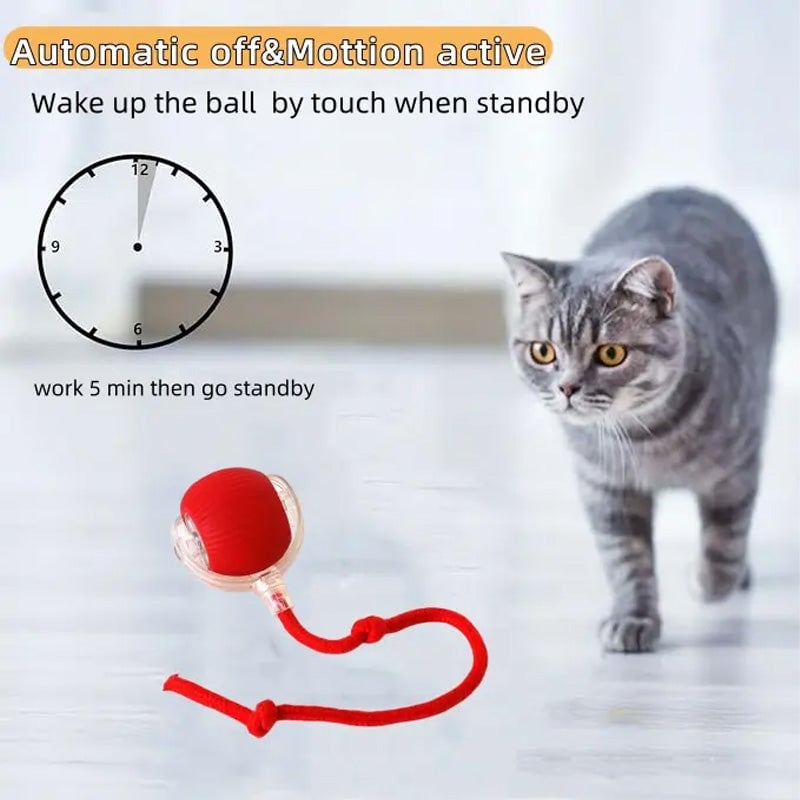 BowLift | Interactive Cat Toy Ball for Indoor Use