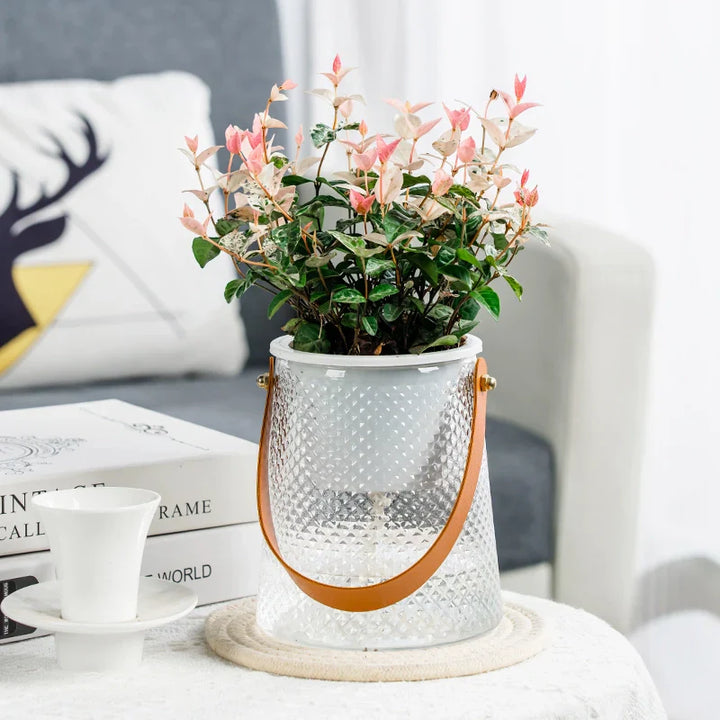 BowLift | Self-Watering Indoor Succulent Hydroponic Planter with Handle