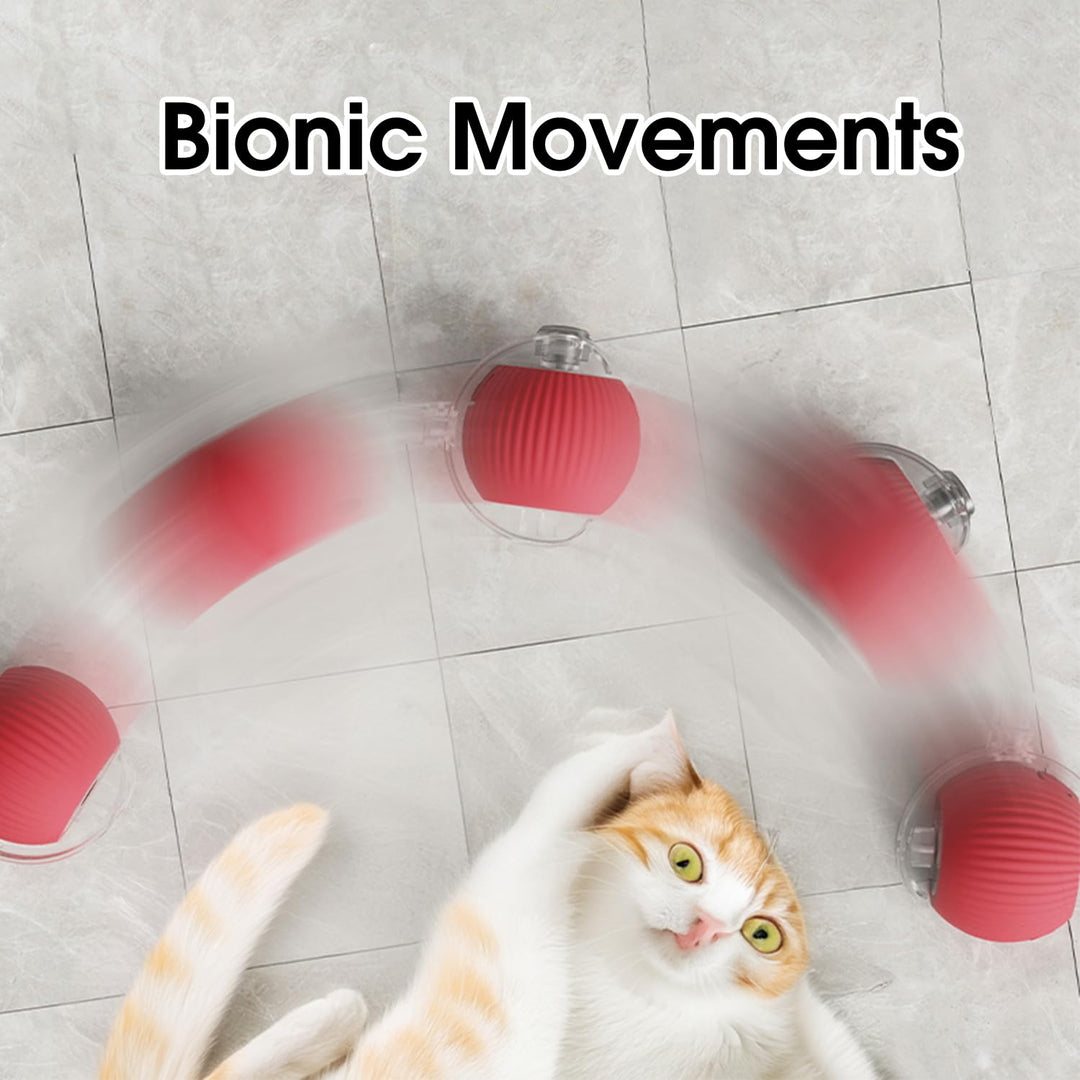 BowLift | GameChanger fun machine — Unleash endless animal joy and banish all boredom!