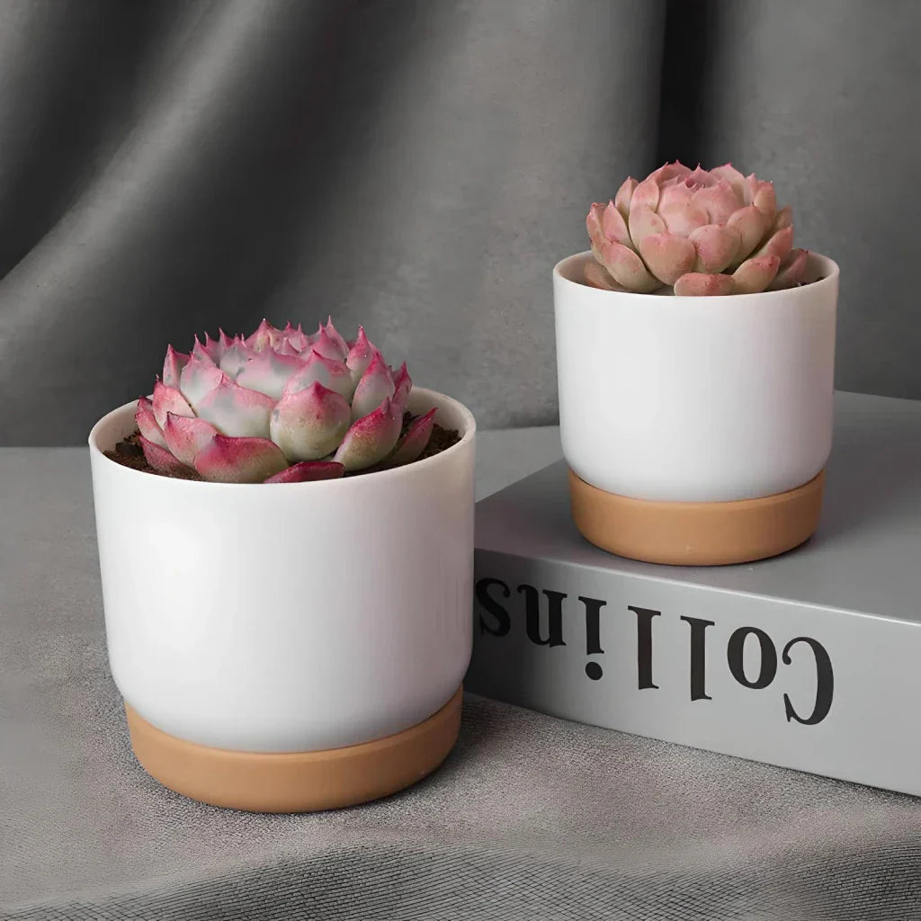 BowLift | Double-Layer Self-Watering Succulent Plant Pot for Home Decor