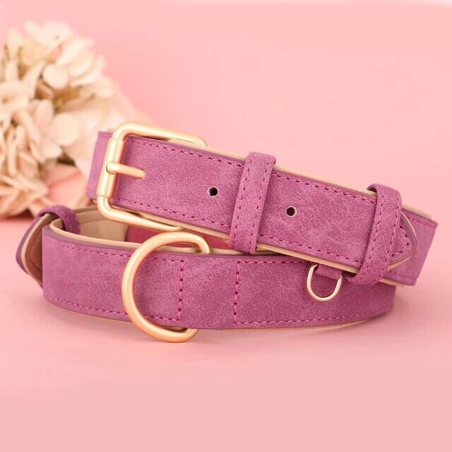 Bowlift Pup Collar