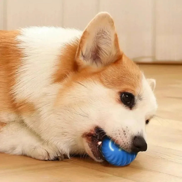 SmartPlay – Automatic Play Ball for Dogs Bowlift