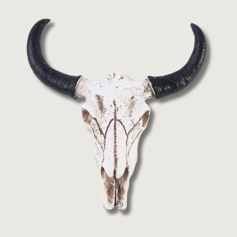 BowLift | HornAura - Longhorn Skull for Your Interior