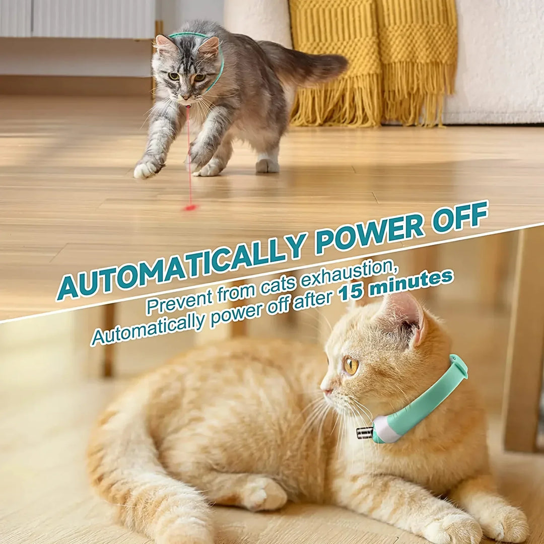 BowLift | PurrCollar™ Engaging Cat Activity