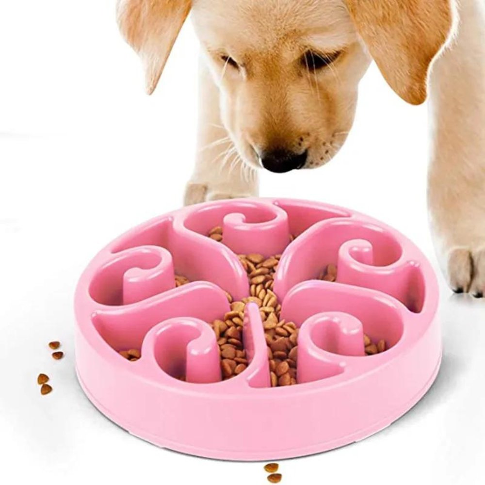 EcoBowl • Dog Feeding Bowl Slow - Dog Feeding Bowl Slow - BowLift