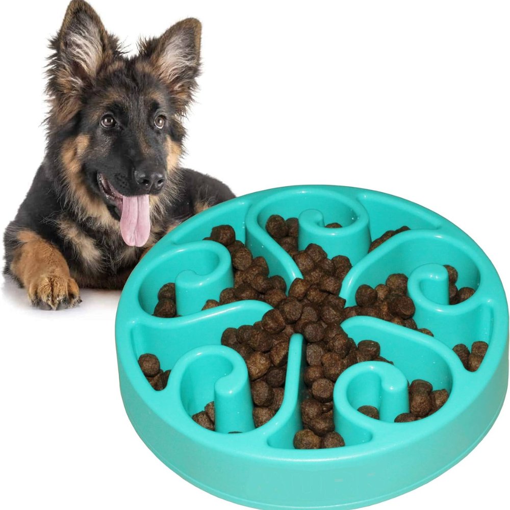 EcoBowl • Dog Feeding Bowl Slow - Dog Feeding Bowl Slow - BowLift